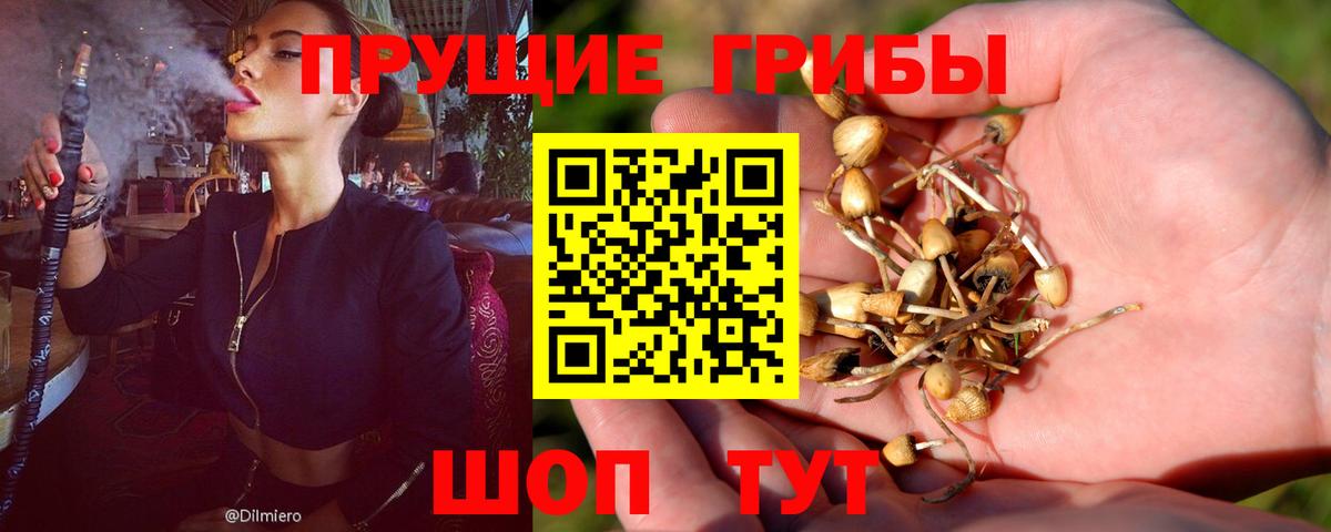 Галлюциногенные грибы прущие грибы Кинешма